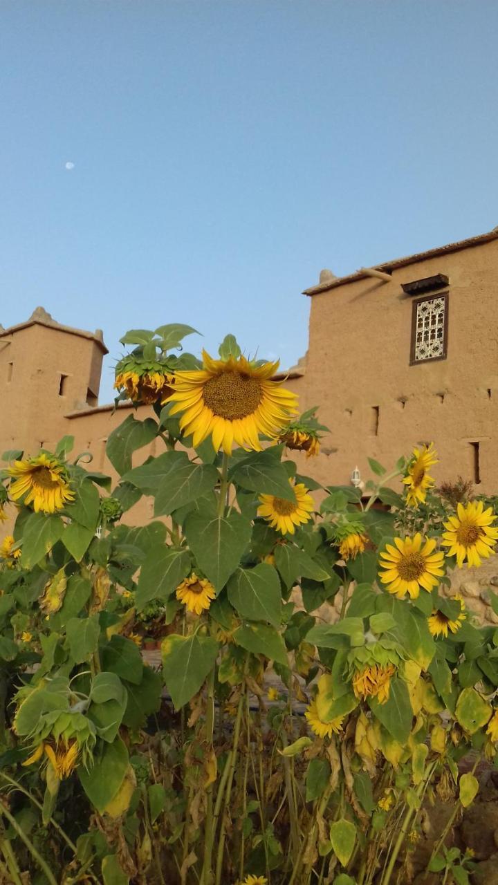 Hotel Kasbah Izoran Midelt Esterno foto