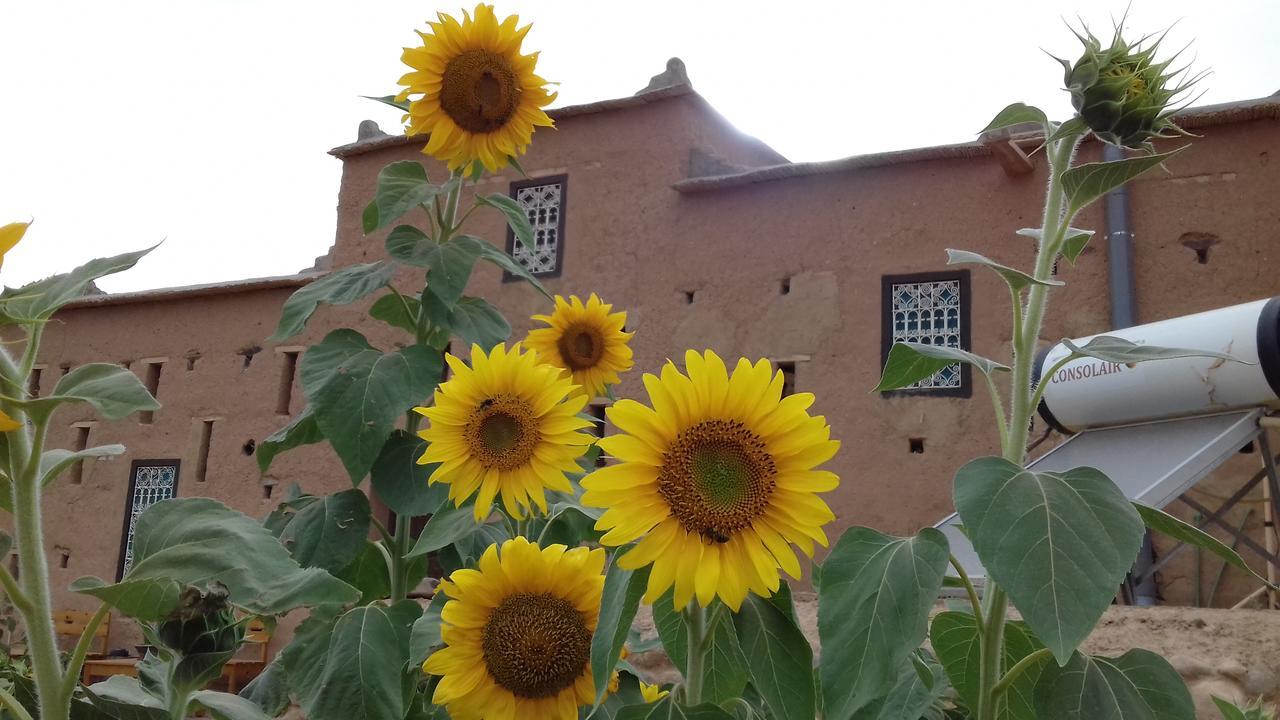 Hotel Kasbah Izoran Midelt Esterno foto